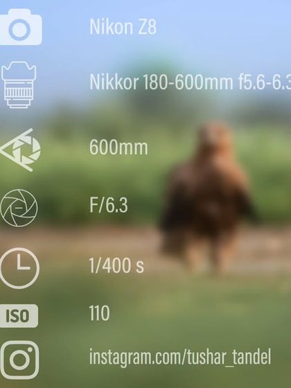 Desert Soul: Jaisalmer & Beyond photo 8