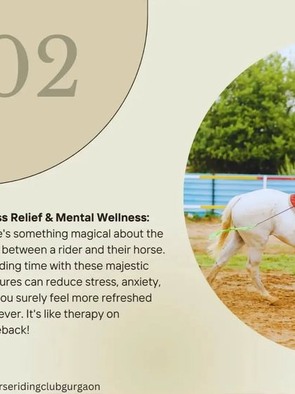 Horse riding is like therapy on horseback. Spending time with these majestic creatures can reduce stress and anxiety.