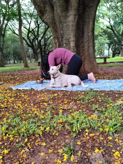 Gurpreet Kaur - Yoga & Mindfulness Instruction Yoga in Nature: Bangalore & Beyond photo 6