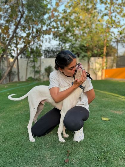 A precious moment shared between Tintin and his teacher ma'am before a busy day begins.