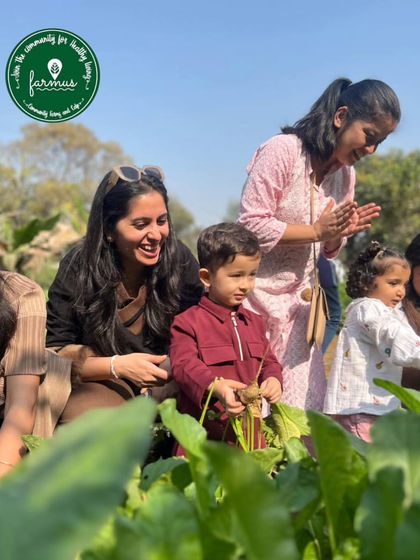 Farmus - Farm Day Out Experience The Joy of the Harvest photo 28