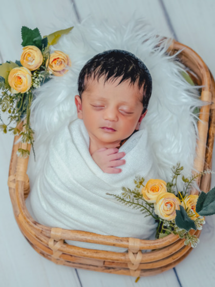 A duplicate of image 12.