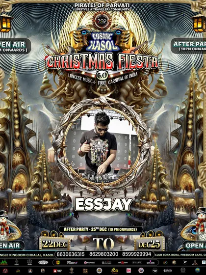 My artist flyer for the Cosmic Kasol Christmas Fiesta. Organizing and playing at these mountain festivals is a core part of what Looze Kontrol does.