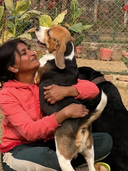 This Beagle is giving Asha a full-body hug, a beautiful display of affection and trust. It's moments like these that reaffirm the power of listening and responding to an animal's emotional needs.
