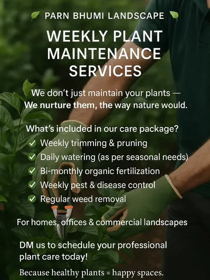 Our weekly plant maintenance service is designed to provide complete, worry-free care for your garden. We handle everything from trimming and pruning to organic fertilization and pest control, ensuring your plants don't just survive, they thrive. This service is available for homes, offices, and commercial spaces.