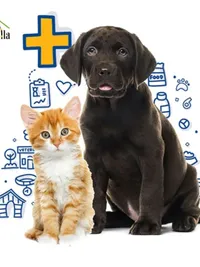 Veterinary Services