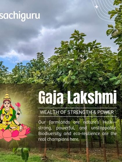 Gaja Lakshmi, the wealth of strength. Our farmlands are nature's Hulk: strong, powerful, and unstoppable. Biodiversity and eco-resilience are the real champions here.