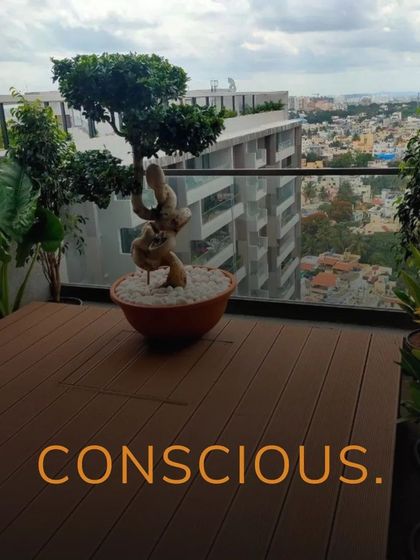 Neo Roots Design - Hardscaping & Outdoor Structures Patios, Decks & Outdoor Lounges photo 10