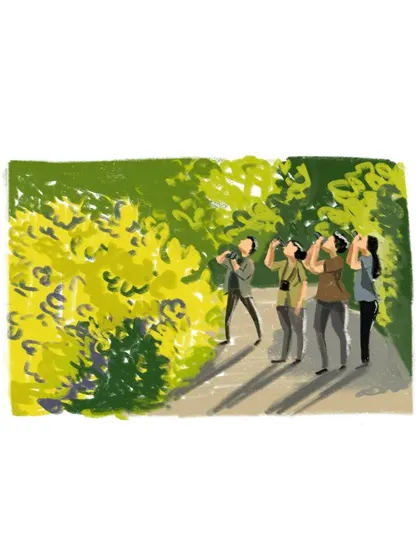 An illustration of fellow nature enthusiasts looking up into the trees with binoculars, capturing a moment of shared discovery.