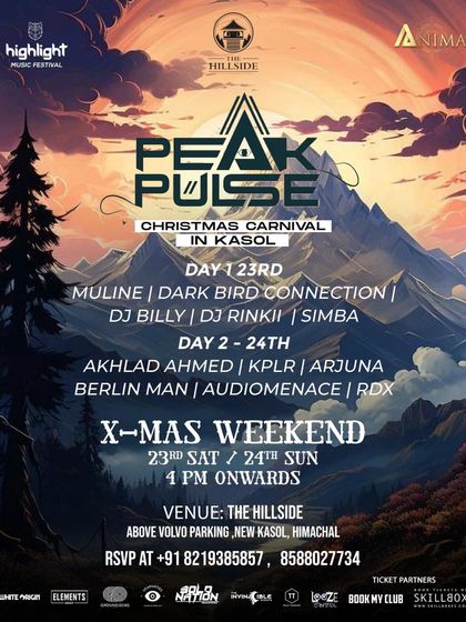 The lineup for the Peak Pulse Christmas carnival in Kasol, where I played a special Audiomenace set alongside other great homegrown talents.