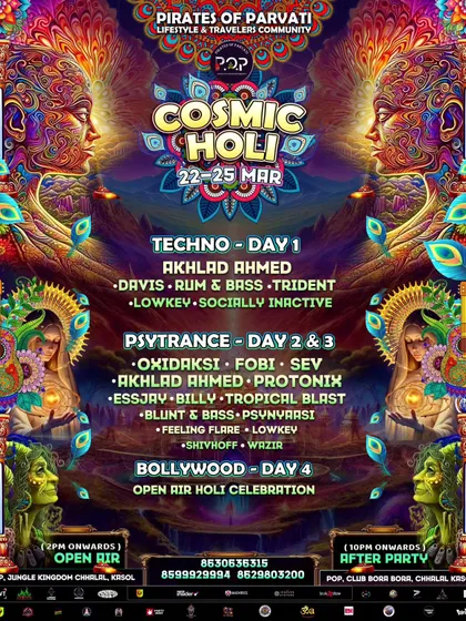 The day-wise lineup for Cosmic Holi, showing our detailed planning for multi-day events with dedicated genre-specific days.