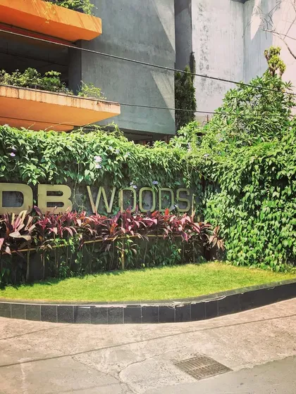 Not all green walls need a complex system. For this building facade, we used climbing plants and creepers to naturally cover the wall and signage, creating a wild and organic look that is low maintenance.