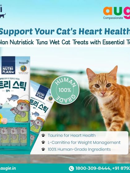Augie Pets - Pet Supplies For Our Feline Friends: Premium Cat Nutrition photo 46