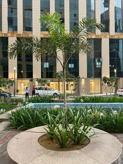 Our expertise in large-scale commercial landscaping is evident in this project for a corporate campus. We design and maintain beautiful, sustainable green spaces that enhance the architecture and create a serene environment.