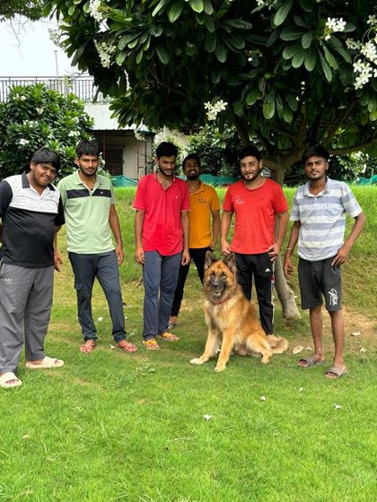 This is my dedicated team with Oscar, a German Shepherd, after a successful training session. We work together to provide consistent care and reinforcement for all the dogs staying with us.