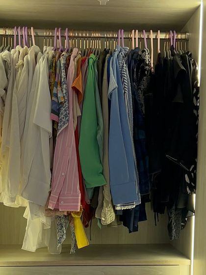 A simple yet effective organization of hanging shirts, with integrated lighting to make the contents clear.