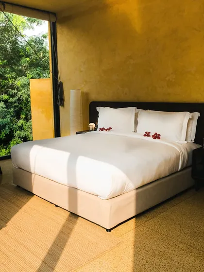 Wake up to sunlight pouring through floor-to-ceiling windows. Our suites are designed as private sanctuaries where you can watch the forest awaken right from the comfort of your bed.