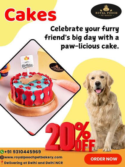 Celebrate your furry friend's big day with a paw-licious cake. I offer delivery across Delhi and Delhi NCR for your convenience.