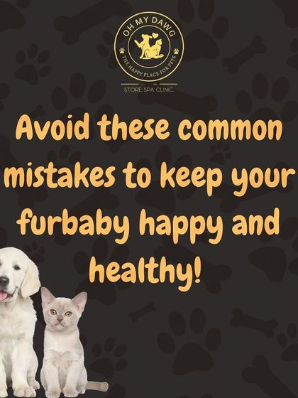 Oh My Dawg - Pet Grooming Services Pet Care Tips from Our Experts photo 6