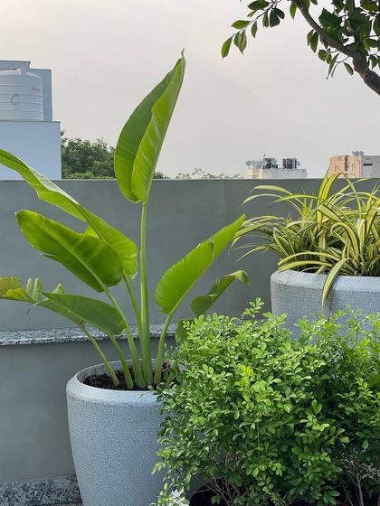 Balcony & Terrace Makeovers photo 33