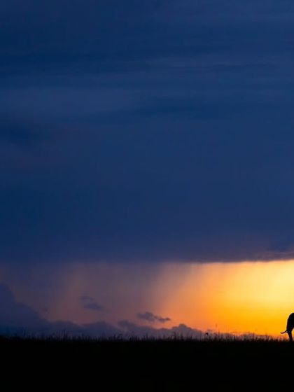 The Art of Seeing: Creative Compositions photo 14