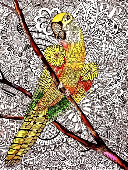 The level of detail and patience in this zentangle parrot, created by a 12-year-old student, is just incredible. My advanced classes help teens refine their skills and tackle complex designs.