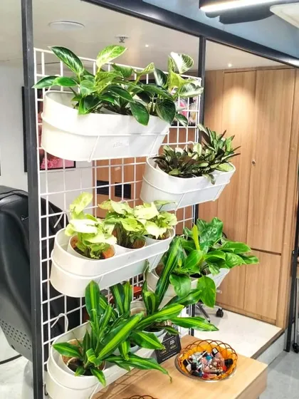 This vertical planter setup is a great way to add a lot of greenery in a small footprint. I used a mix of plants with different leaf shapes and shades of green to create a dynamic and interesting display next to a styling station.