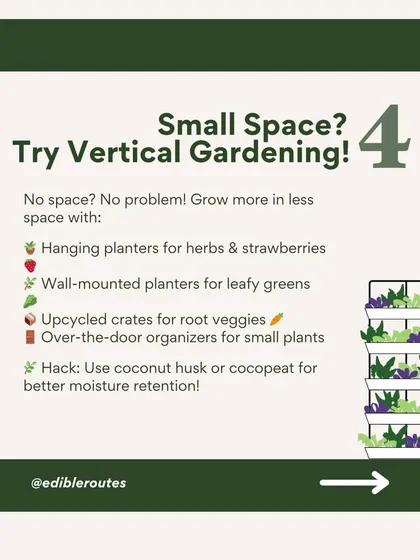 If you have small space, try vertical gardening! Hanging planters, wall-mounted crates, and even over-the-door organizers can be used to grow more in less space.