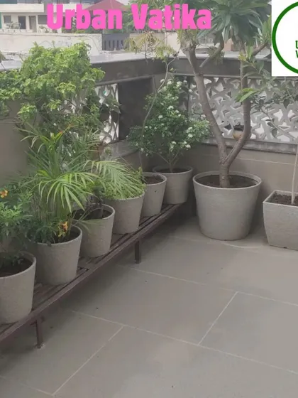 This terrace setup features a variety of plants arranged on a tiered stand and along the floor, creating a multi-level garden that maximizes green space on a compact rooftop.