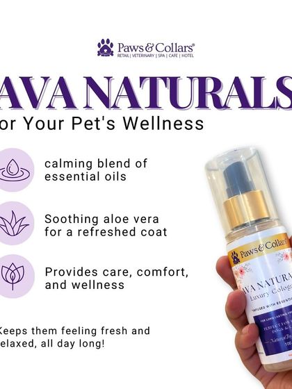PawsnCollars - Pet Grooming & Spa Ava Naturals: Luxury Pet Cologne photo 15