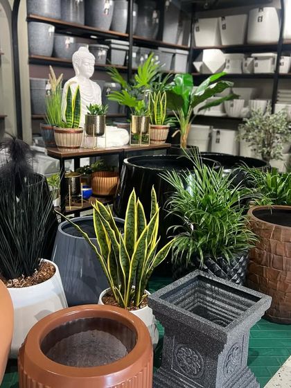 A snapshot of the variety you can find at our Kadri store. We have planters in different materials, textures, and colours to suit any taste.
