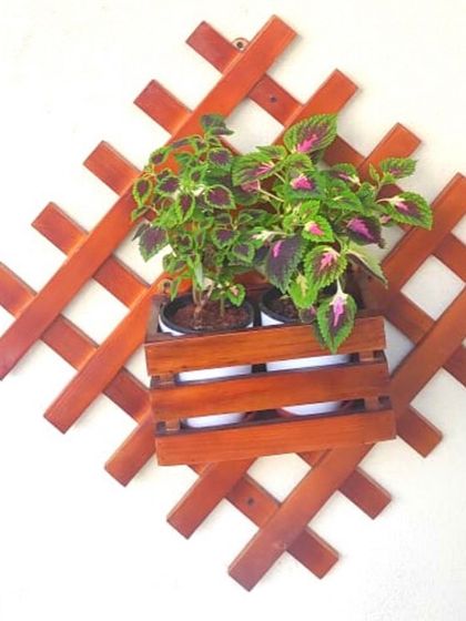 Treemendous - Interior & Exterior Plantscaping Creative Planter & Decor Ideas photo 4