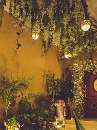 Corporate & Brand Event Styling