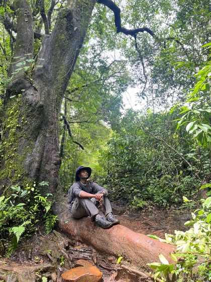 A trekker finds a moment of solitude, sitting on the roots of a giant, ancient tree in the Netravathi forest.