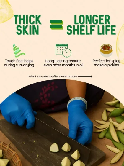 The thick skin of the Kalkatiya mango helps during the sun-drying process and ensures a long-lasting texture, even after months in oil. It's perfect for our spicy masala pickles.