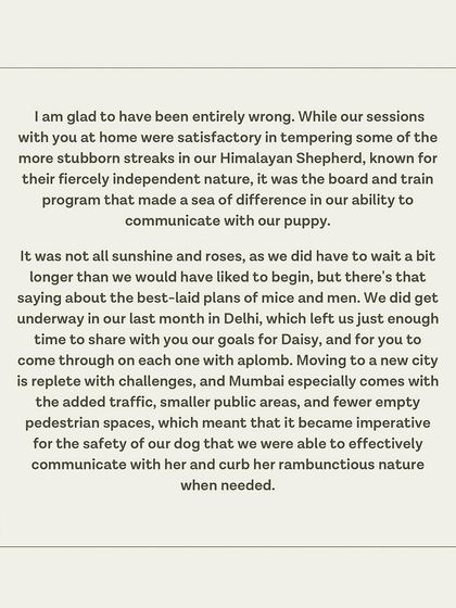 Daisy's guardian admits he was wrong to be skeptical and that our board and train program made a sea of difference.