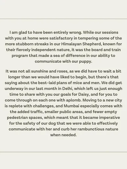 Daisy's guardian admits he was wrong to be skeptical and that our board and train program made a sea of difference.