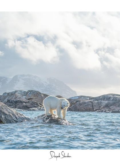 A personal and powerful image from my journey to the top of the world.