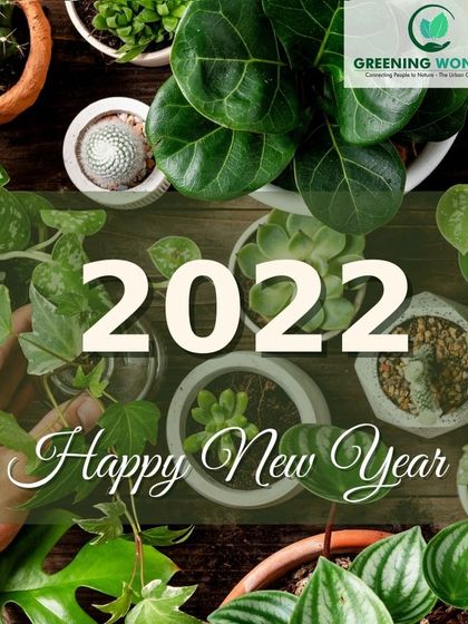 Greening Wonders - Corporate & Personal Plant Gifting Gifting for Every Celebration photo 13