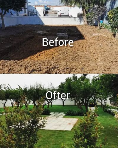 Garden Design & Installation
