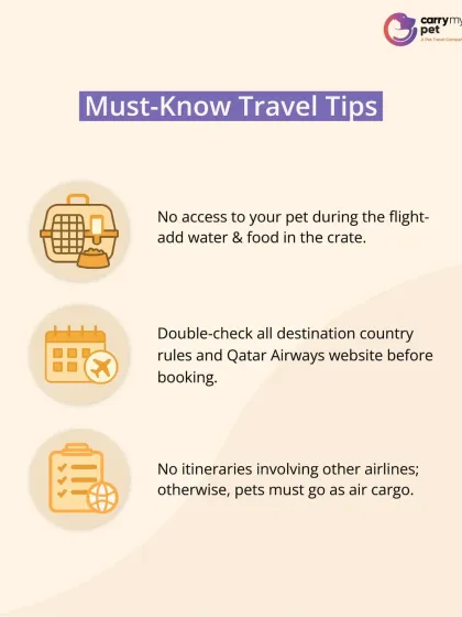 CarryMyPet - Pet Travel & Parenting Consultation Your Pet Travel Questions, Answered photo 11