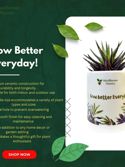 Inspire your team with our custom printed planters. This "Grow Better Everyday" design is just one example of how we can create a unique and motivational desktop accessory that serves as a daily dose of green encouragement.