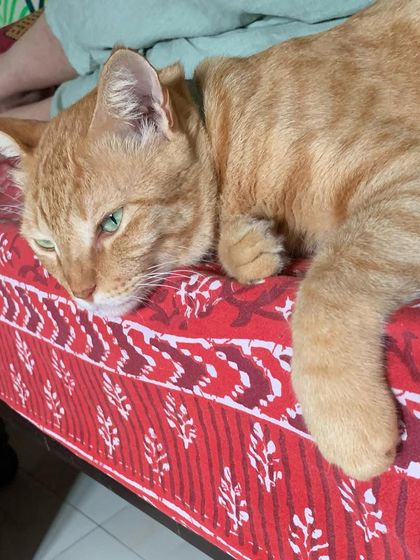 That "five more minutes" face. I know it well.