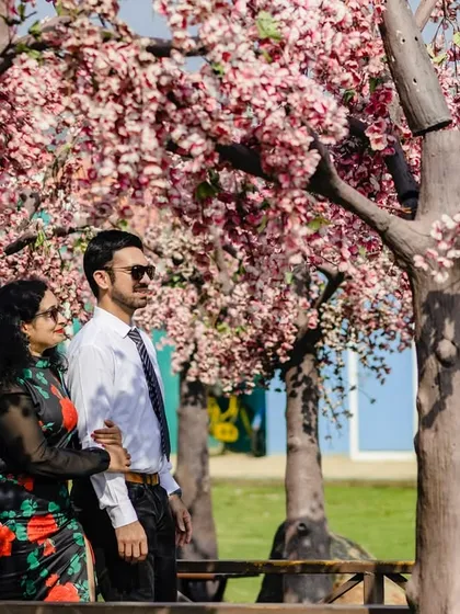 The couple takes a romantic walk through a grove of cherry blossom trees. This beautiful, nature-filled setting provides a soft and romantic atmosphere for their pre-wedding photos.