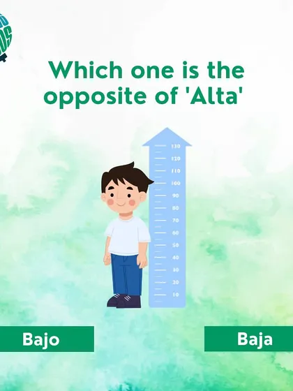 Can you guess the opposite of 'alta' (tall)? This quiz also helps you practice gender agreement in adjectives.