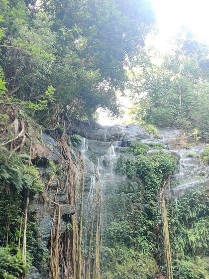 The beautiful Hidlumane falls, with its roots and vines hanging down the rock face.