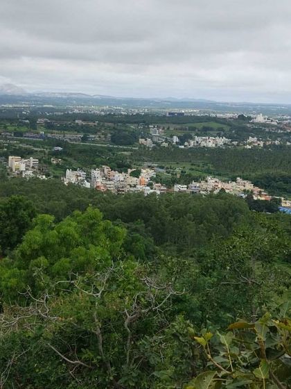 The stunning view from one of our trail rides, overlooking a green valley and the city beyond.