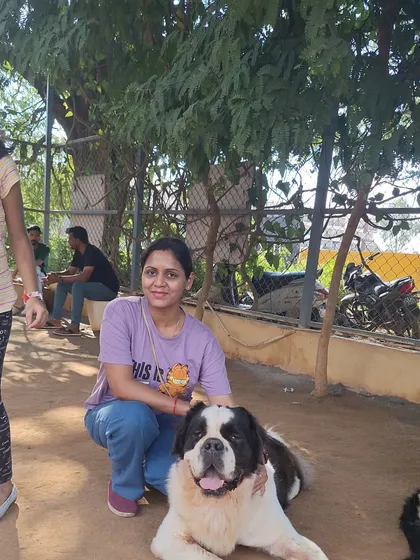 Meet one of our gentle giants. We have dogs of all shapes and sizes, including this magnificent St. Bernard who is a favorite among our visitors for his calm demeanor and affectionate nature.