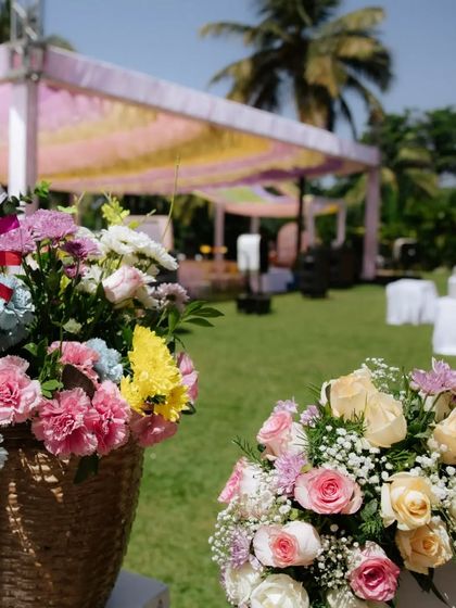 Our Team in Action photo 59