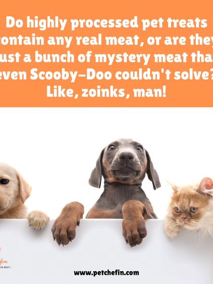 It's time to unmask the truth about highly processed pet treats, which are often filled with mystery meat by-products and fillers. We believe in real meat and wholesome ingredients.